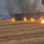 5 bin dönüm arazi alevlere teslim oldu
