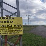 Kuduz nedeniyle mahalleye giriş çıkışlar yasaklandı