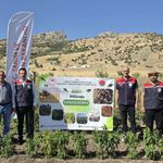 TAKE Projesiyle yetiştirilen ürünlerde hasat heyecanı