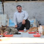 62 yaşında, her akşam 50 kediyi evinin bahçesinde ağırlıyor