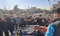 Silopi’de Sağlıklı Çocuk, Sağlıklı Gelecek Etkinliği