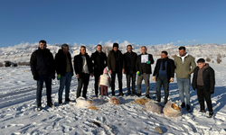 Cudi Dağı’nda Yaban Hayvanları İçin Örnek Dayanışma