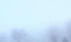 Yoğun sis hayatı felç etti