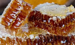 Balda taklit ve tağşiş uyarısı: Bazı markaların süzme bal ürünleri listede