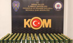 Şırnak'ta Bir Haftada Milyonluk Operasyon: 46 Şüpheli Yakalandı!