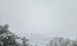 Şırnak’ta Yeni Yılda Çığ Tehlikesine Dikkat!