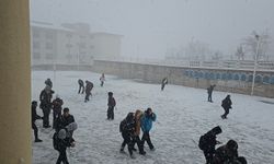 Şırnak Genelinde  Kar  Engeli: Valilik Tatil Kararını Duyurdu!