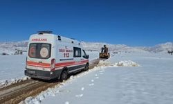 Cudi Dağı Eteklerinde Hayat Kurtaran Müdahale