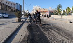 Cizre’de Doğal Gaz Sonrası Yollar Yenileniyor