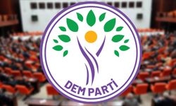 Şırnaklı Vekiller Dahil DEM Partililere Fezleke