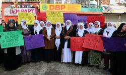 Halep İçin Cizreli Barış Anneleri, Ankara'ya Doğru Yola Çıktı