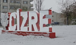 Aralık’ta En Yüksek Sıcaklık Cizre’de Ölçüldü