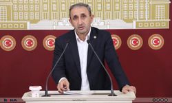 Şırnak’ın sorunları Cumhurbaşkanı yardımcısına taşındı