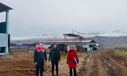 Şırnak'taki hibeli hayvancılık yatırımları yerinde incelendi