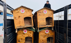 HAYTAP’tan Şırnak’taki Sokak Hayvanlarına Köpek Kulübesi