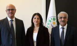 DEM Parti İmralı Heyeti , Adadan Döndü