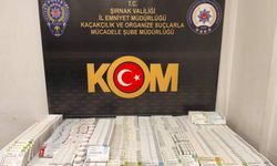 Şırnak’ta Kaçakçılık ve Narkotik Operasyonu, 30 Gözaltı, 1 Tutuklama