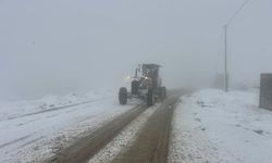 Şırnak’ta Kar Yağışı Etkili Oluyor, Karla Mücadele Çalışmaları Sürüyor