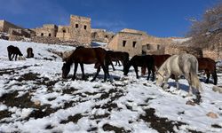 Koçer Yollarında Kışın Sessiz Tanıkları