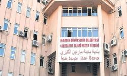 Mardin’de Kayyım Görev Süresi 2 Ay Daha Uzatıldı