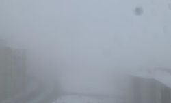 Şırnak’ta yoğun sis hayatı durma noktasına getirdi