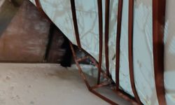 Şırnak Merkezde Kar Nedeniyle Çatı Çöktü