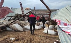 Şırnak’ta olumsuz hava şartları çiftliği vurdu