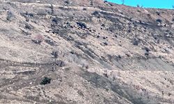 Arazilerde Tarım ve Mera Denetimi Başladı