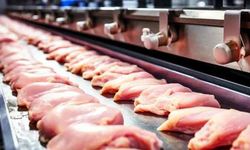 Kırmızı Et Ulaşılamaz Oldu, Tavuk da Zamlanıyor