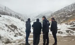 Uludere Çığ Vadisi Risk Altında, Uzmanlar Sahada