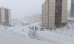 Güneydoğu'da 1743 Yerleşim Yerine Ulaşım Yok