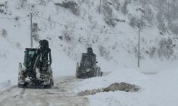 Şırnaklı sürücülerin dikkatine! Belli güzergahlarda yol ve elektrik durumlarında önemli duyuru!