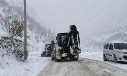 Uludere Belediyesi Yoğun Kar Yağışına Karşı Seferberlik Başlattı