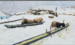 Çalışkan Belediyesi’nden zor koşullarda örnek dayanışma