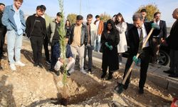 Şırnak Üniversitesinde kampüs yeşerdi