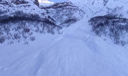 Şırnak-Hakkari Kara Yolu Çığ Nedeniyle Kapandı