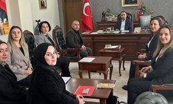 Silopi’de ADEM çalışmaları masaya yatırıldı