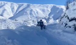 Şırnak’ta kapalı köy yolları ulaşıma açıldı