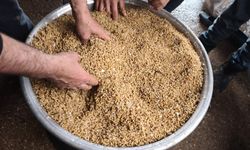 Silopi'de soğukta hayvanlara sıcak yem desteği