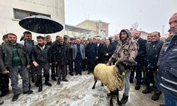 Beytüşşebap’ta İlk Şehirler Arası Otobüs Seferleri Başladı