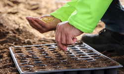 300 Bin Fide Ücretsiz Toprakla Buluştu
