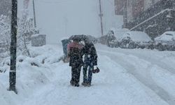 Kar nedeniyle 20 köy ulaşıma kapandı