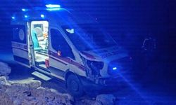 Aniden Yola Çıkan Ata Ambulans Çarptı, At Telef Oldu