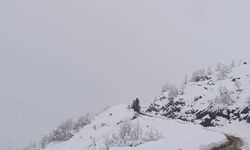 Şırnak'ta 20 köy yolu ulaşıma açıldı