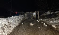 Beytüşşebap’ta Kaya  Ağılı Vurdu 20 Hayvan Telef Oldu