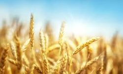 TKDK’den Deprem Bölgesine 3,1 Milyar Lira Hibe