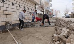 Cizre’de Yol İyileştirme Çalışmaları Devam Ediyor