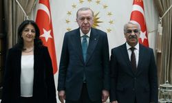 Erdoğan ile DEM Parti Heyeti, Barış Sürecini Teyit Etti