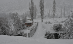 Uludere ve Beytüşşebap'ta kar yağışı etkili oldu