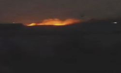 Suriye'de Arap aşiretleri arasında “ganimet” kavgası